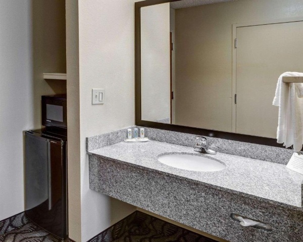Quality Suites Baton Rouge East - Denham Springs image 21
